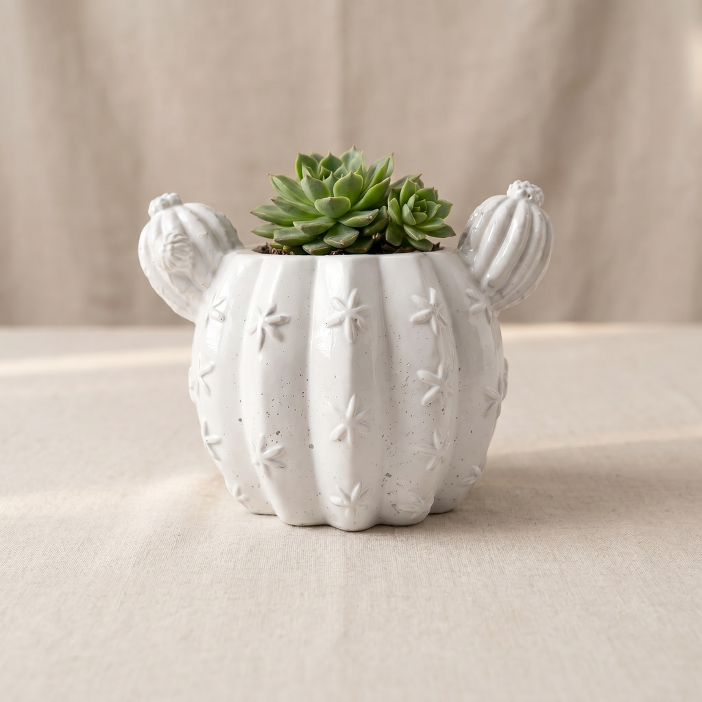 Barrel Cactus Planter, Gypsum White 3.5"