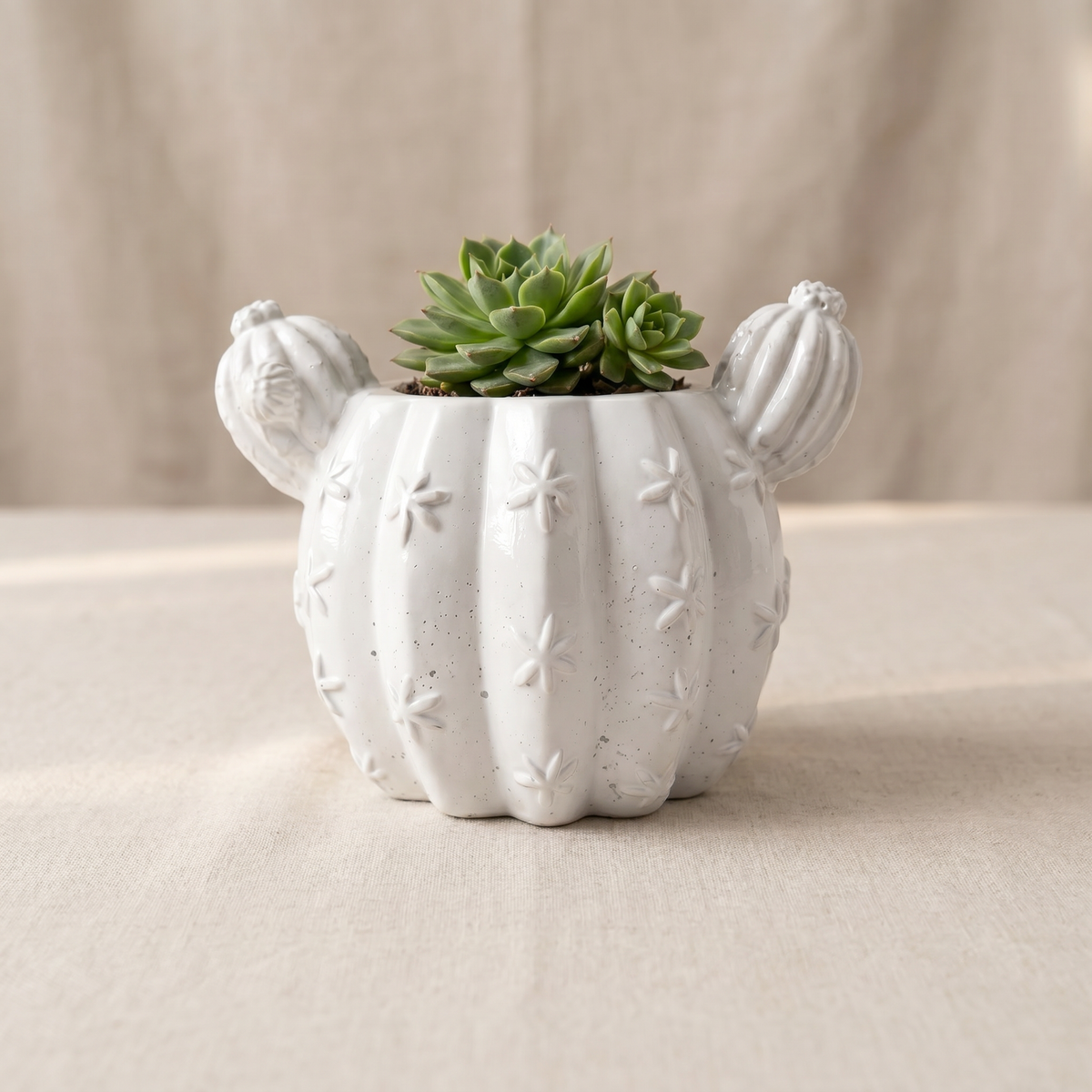 Barrel Cactus Planter, Gypsum White 3.5"