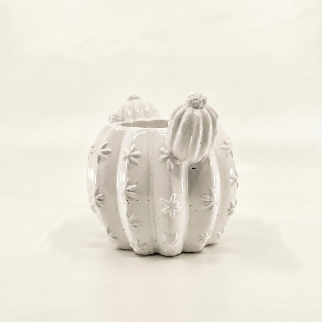 Barrel Cactus Planter, Gypsum White 3.5"