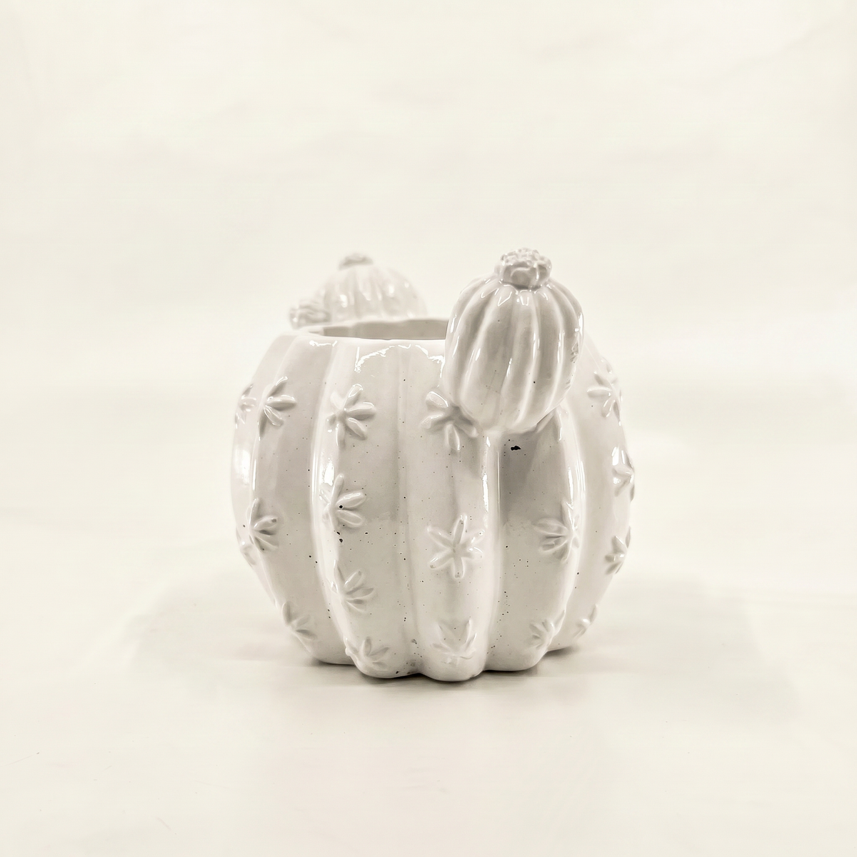 Barrel Cactus Planter, Gypsum White 3.5"
